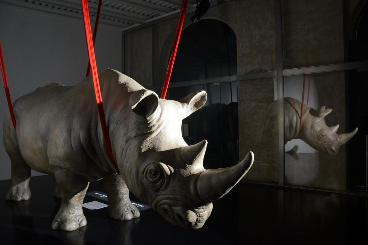 الشقق الفندقية رومافي  Rhinoceros المظهر الخارجي الصورة